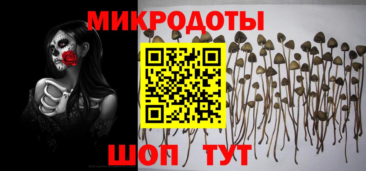 Галлюциногенные грибы Psilocybe  Вход с VPN  Холмск  Галлюциногенные грибы ЛСД 